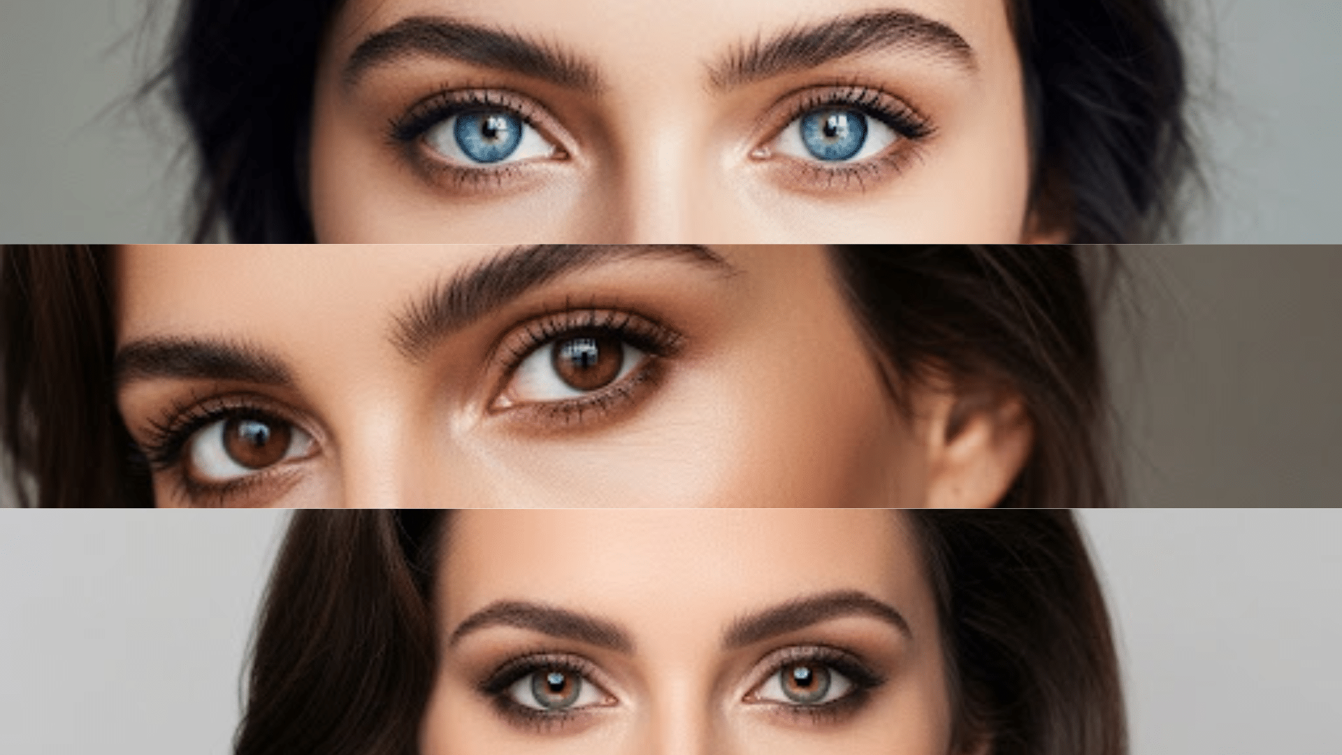 A_Palette_of_French_Eye_Colors