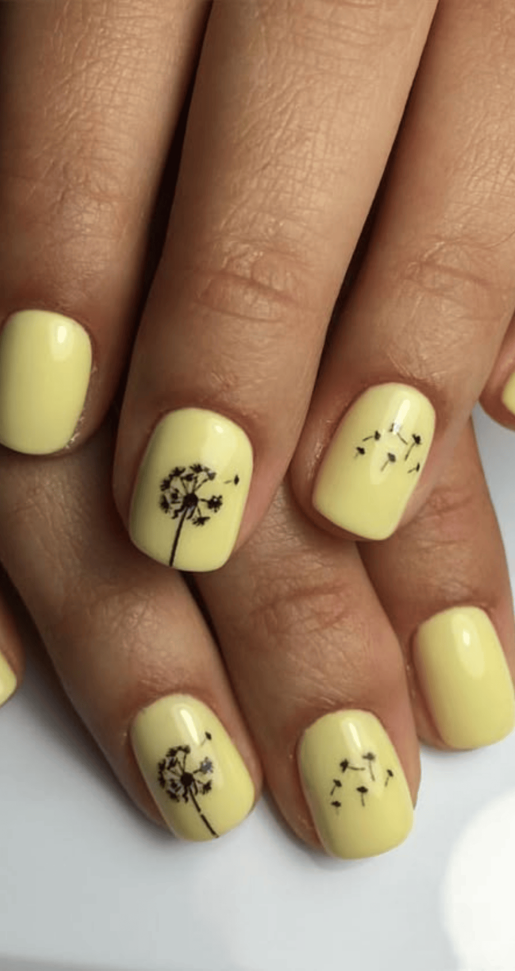 Dandelion Wishes
