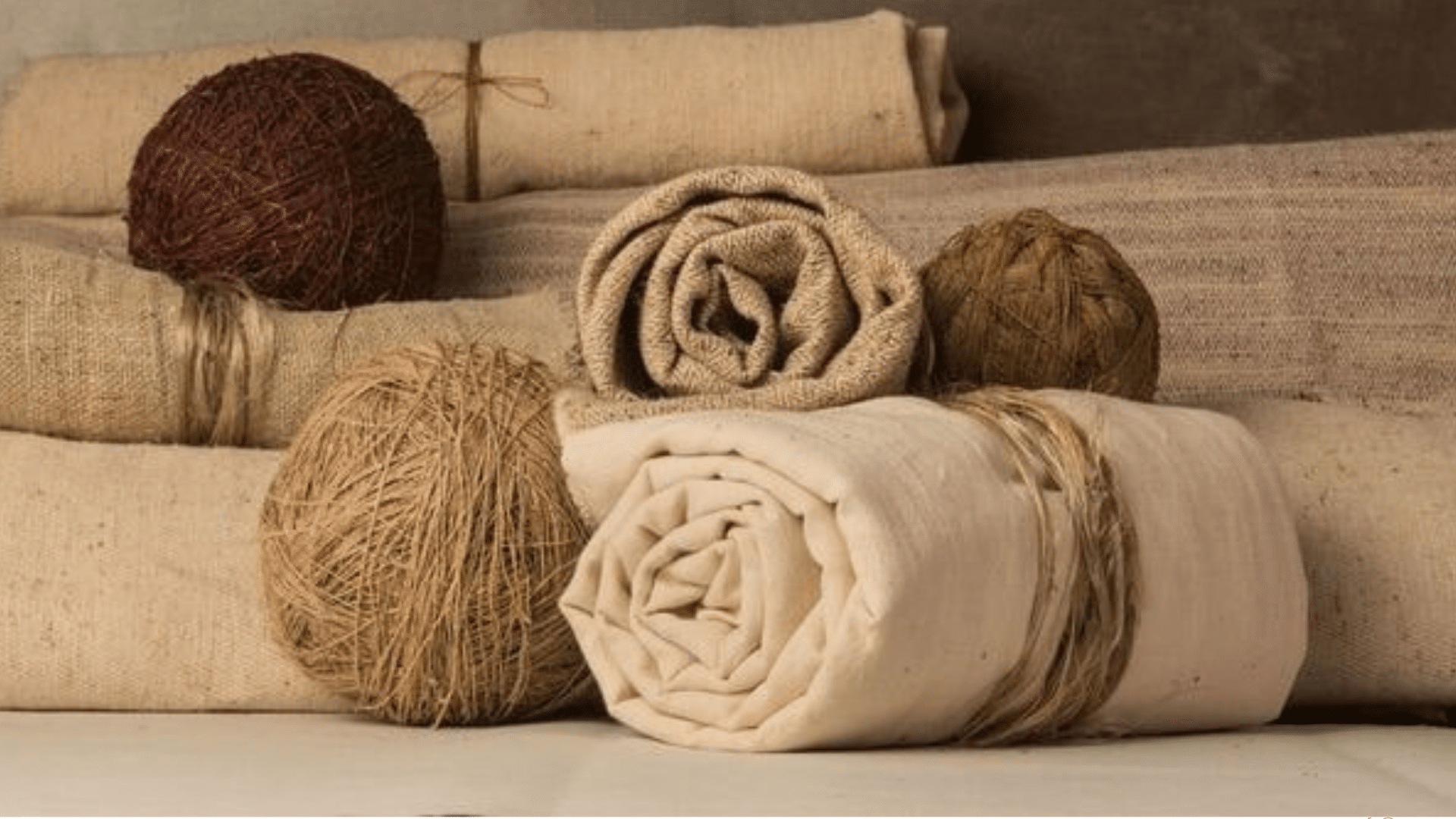 Why the World is Moving Towards Natural Fabrics?