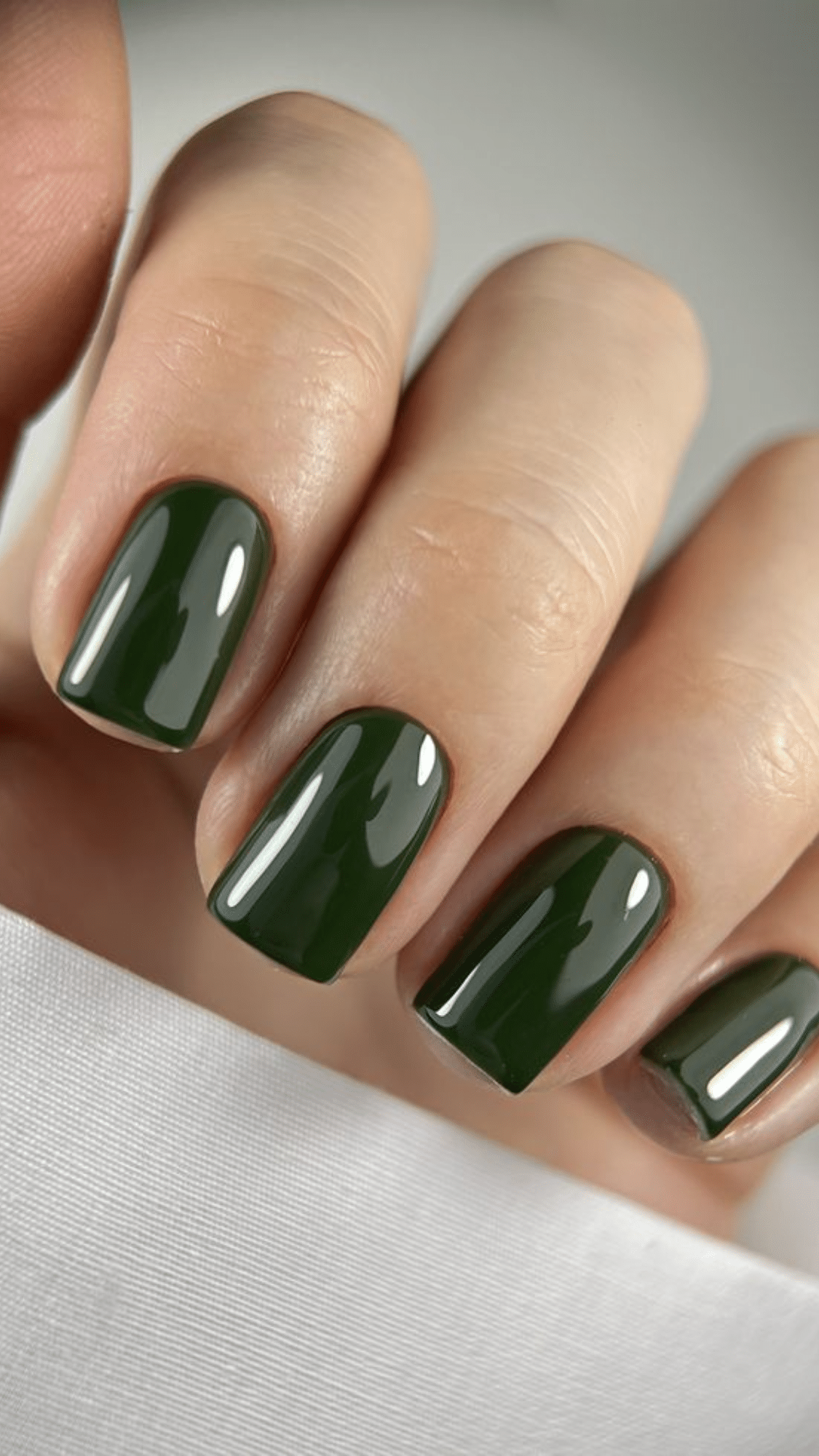 forest green solid