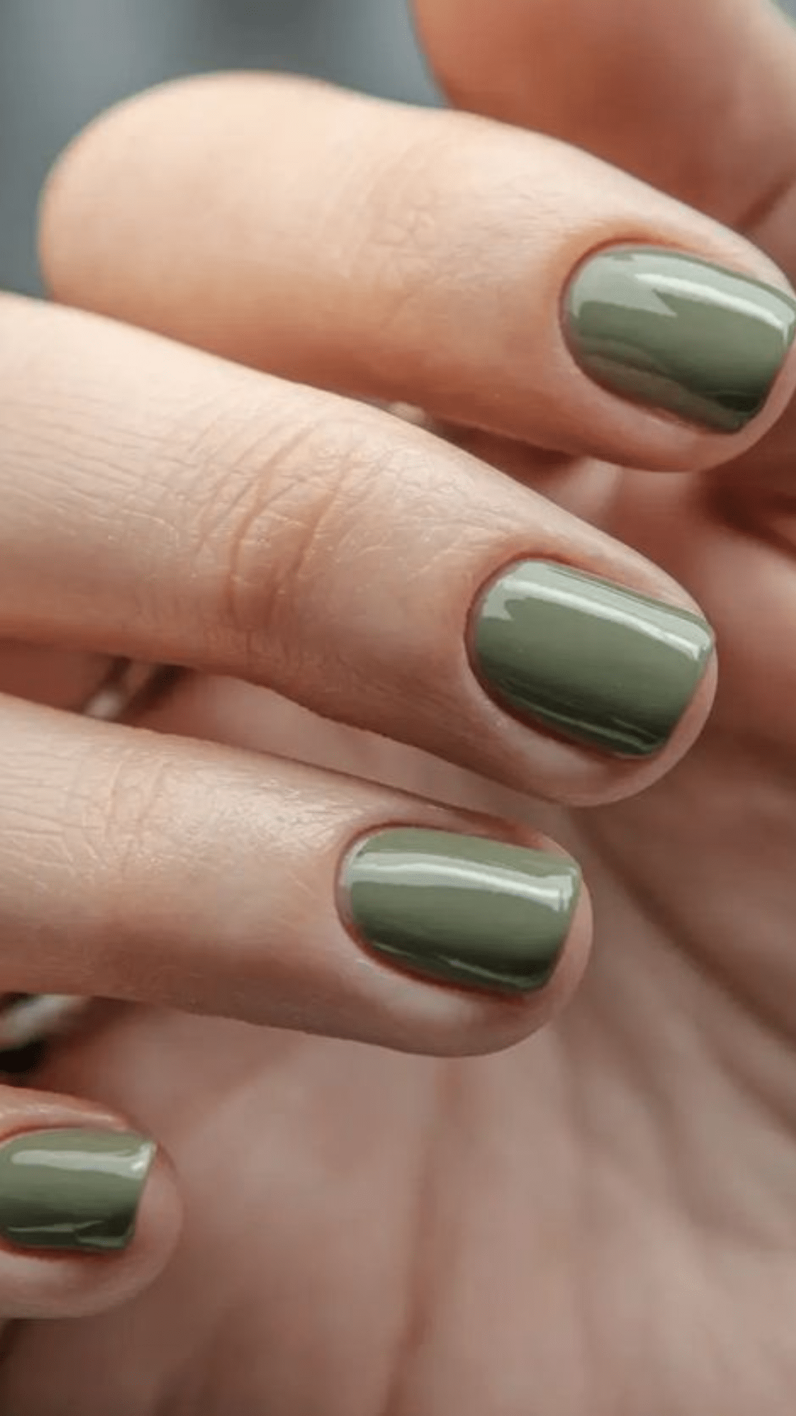 olive green solid