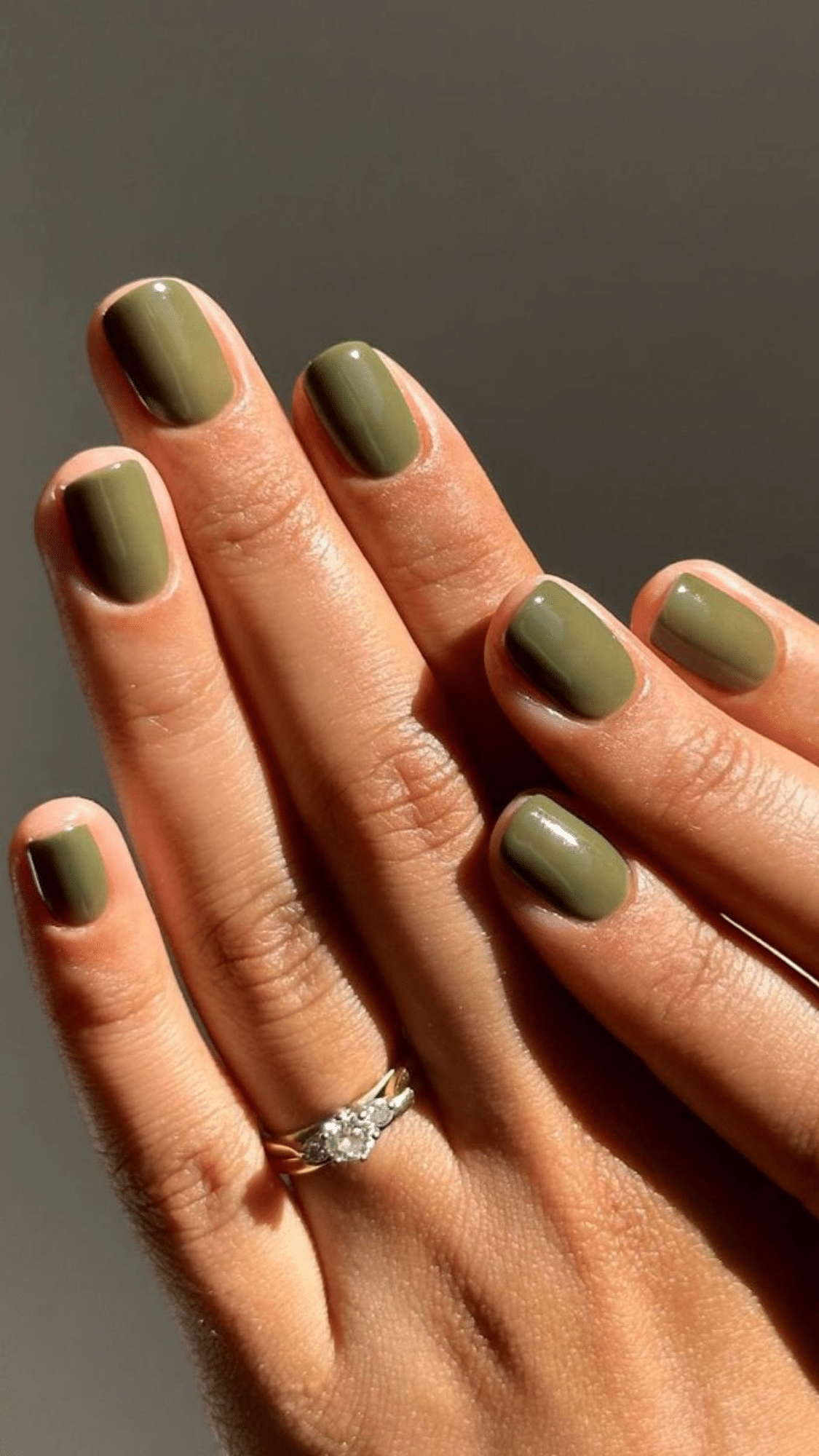 sage green solid