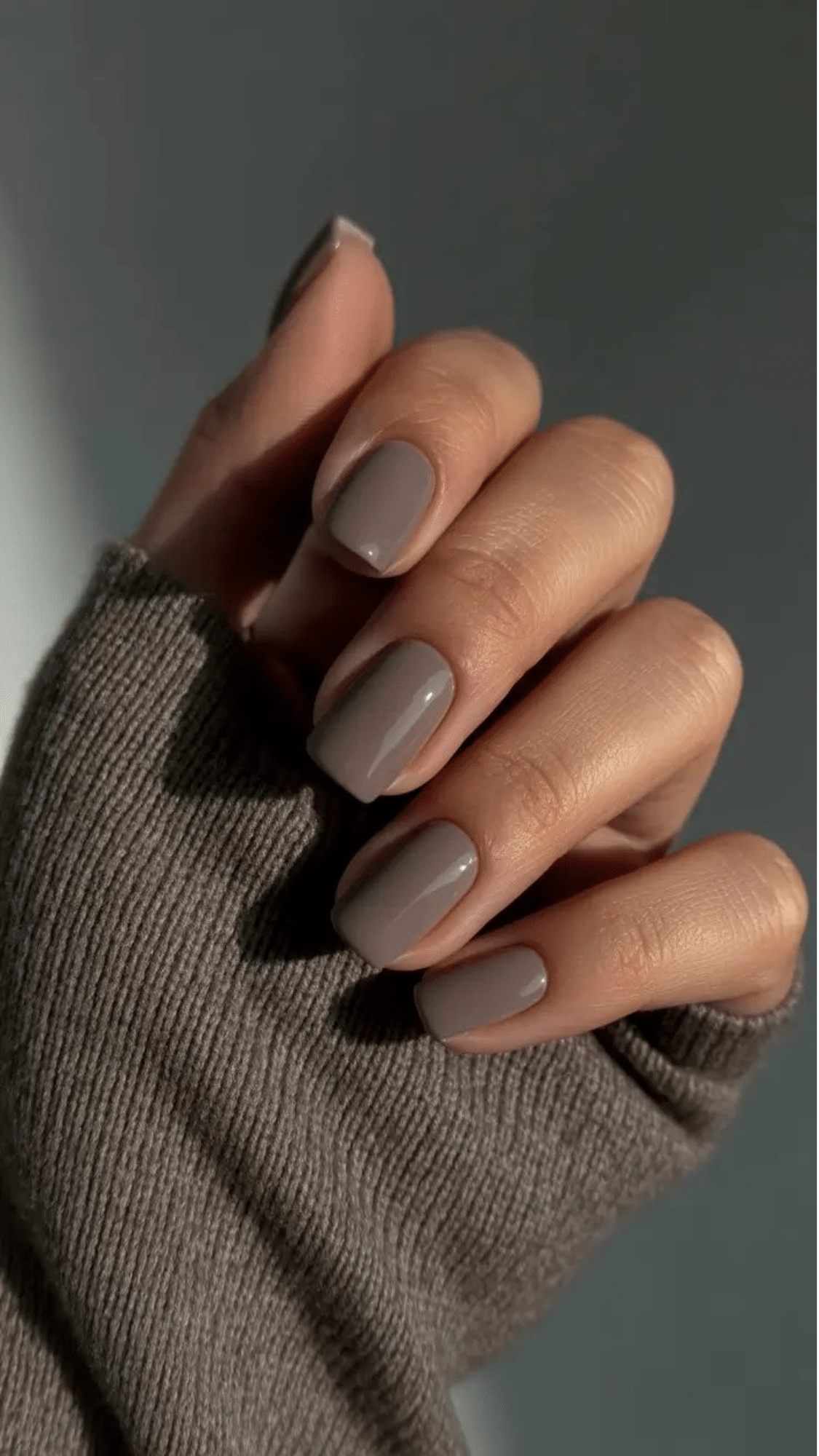 taupe solid