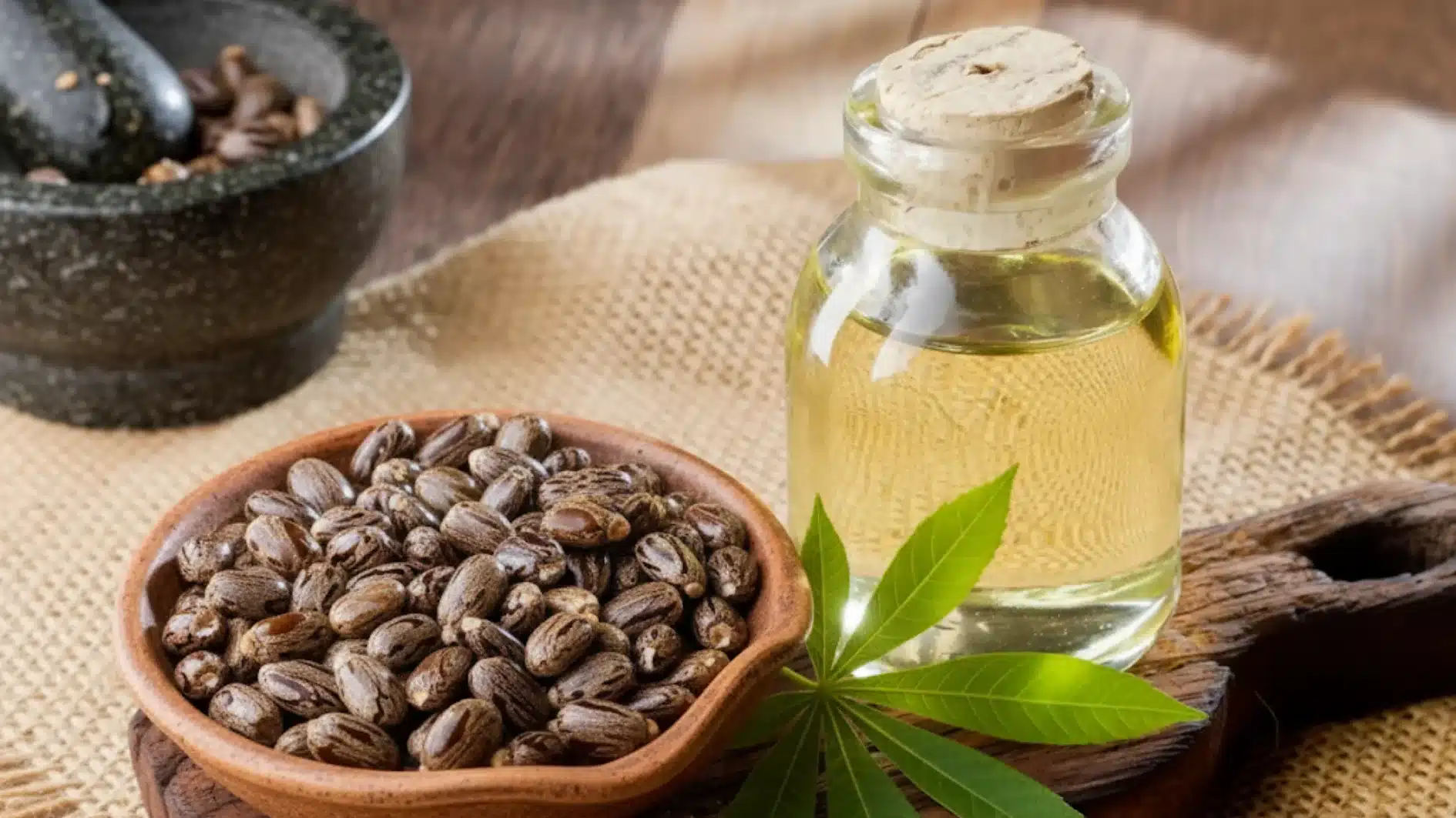 Castor oil in a glass bottle sits next to a bowl of castor beans and a dark mortar and pestle on a burlap covered surface