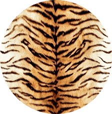 Tiger Print
